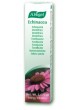 A Vogel Echinacea Toothpaste