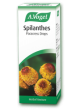 A Vogel Spilanthes Tincture