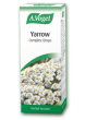 A Vogel Yarrow Complex