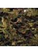 Cotswold Health Loose Nettle Tea