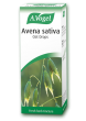 A Vogel Avena Sativa Tincture
