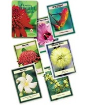 ABFE Insight Cards Kit