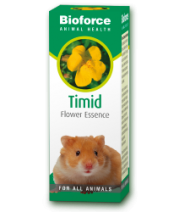 A Vogel Timid Essence