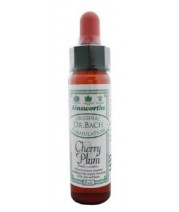 Dr Bach Cherry Plum Flower Remedy