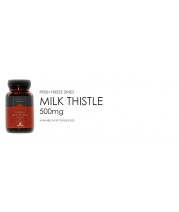Terranova Milk Thistle 500mg