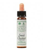 Dr Bach Sweet Chestnut Flower Remedy