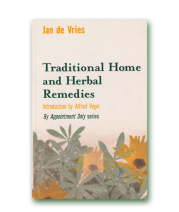 Jan De Vries Traditional Remedies Paperback Book