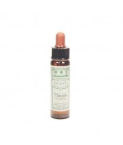 Dr Bach Vervain Flower Remedy