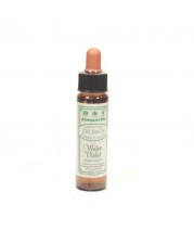 Dr Bach Water Violet Flower Remedy